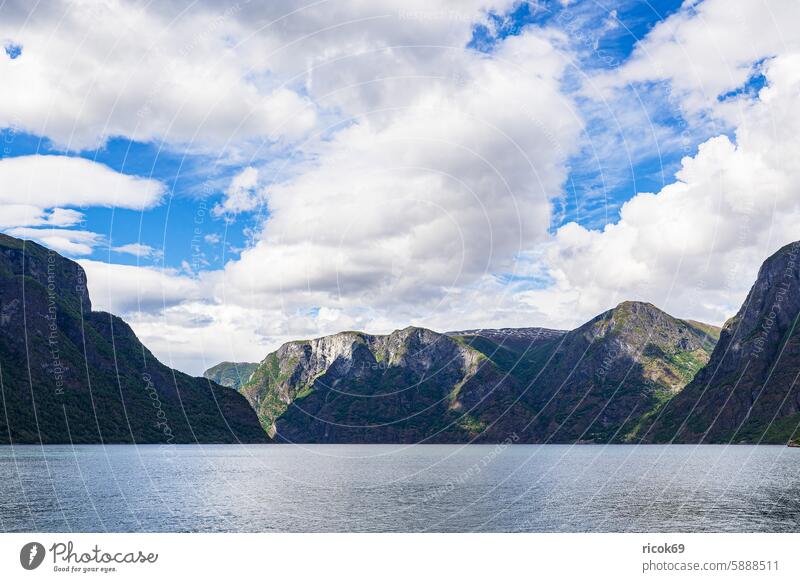 Blick über den Aurlandsfjord in Norwegen Aurlandsvangen Fjord Gebirge Berg Gipfel Landschaft Natur Sommer Vestland Wasser Baum Wald grün Urlaub Reise Himmel