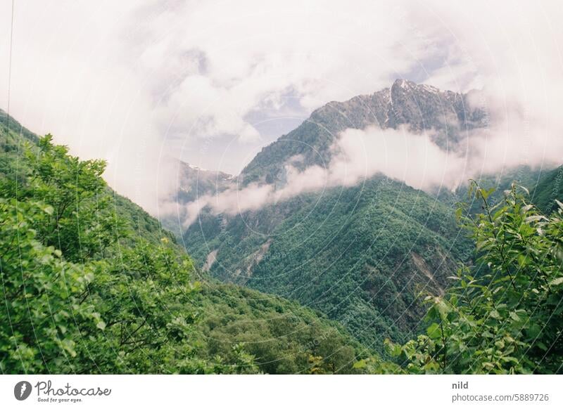 Piemont 2024 Italien Landschaft ausblick ausblick genießen Natur Ferien & Urlaub & Reisen Erholung Außenaufnahme Berge u. Gebirge Farbfoto Idylle grün Sommer