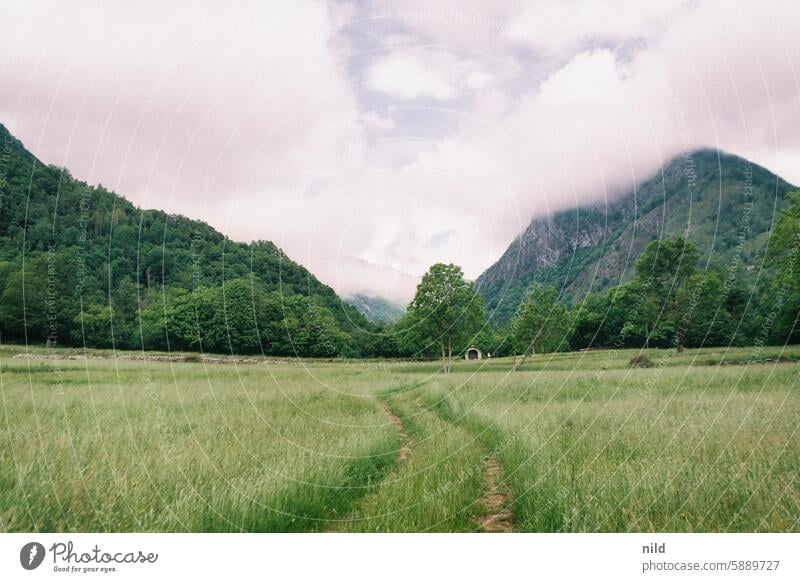 Piemont 2024 Italien Landschaft ausblick ausblick genießen Natur Ferien & Urlaub & Reisen Erholung Außenaufnahme Berge u. Gebirge Farbfoto Idylle grün Sommer