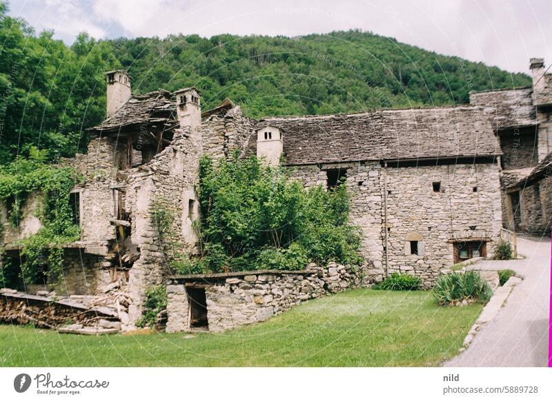 Piemont 2024 Italien Landschaft ausblick ausblick genießen Natur Ferien & Urlaub & Reisen Erholung Außenaufnahme Berge u. Gebirge Farbfoto Idylle grün Sommer