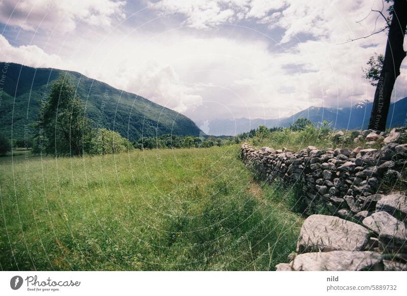 Piemont 2024 Italien Landschaft ausblick ausblick genießen Natur Ferien & Urlaub & Reisen Erholung Außenaufnahme Berge u. Gebirge Farbfoto Idylle grün Sommer