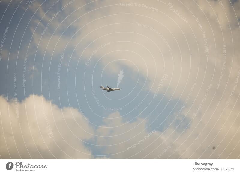 Flugzeug am Himmel, Fernweh Wolken Passagierflugzeug Außenaufnahme Farbfoto fliegen Tourismus Ferien & Urlaub & Reisen Verkehrsmittel Freiheit Luftverkehr