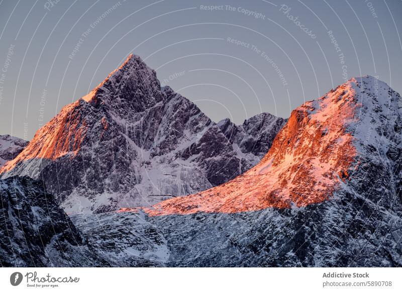 Sonnenaufgang auf den schneebedeckten Gipfeln der Lofoten, Norwegen Berge u. Gebirge lofoten Schnee glühen Winter robust Gelände Textur Natur Landschaft kalt