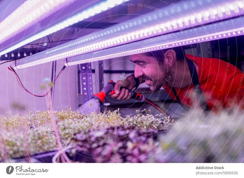 Mann bewässert Mikrogrüns unter LED-Licht in einer Indoor-Farm mikrogrün Bewässerung im Innenbereich Bauernhof Leuchtdiode vertikal Ackerbau urban