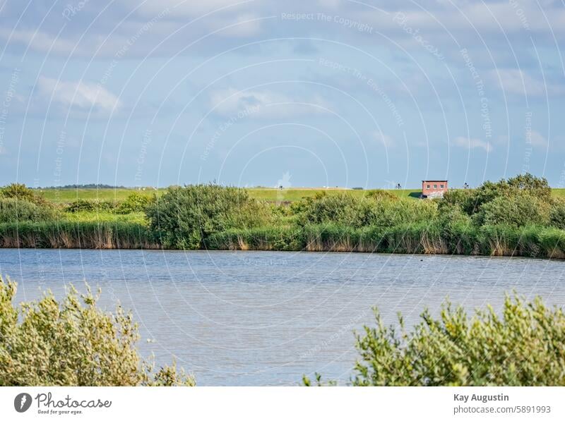 Rantumbecken Damm Deich Radfahrer Rantum Deich Radsport Sylt Natur Außenaufnahme Farbfoto Nordsee Küste Umwelt deich Landschaft Himmel Wolken