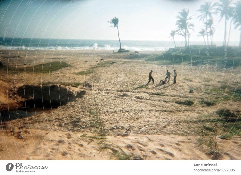 Kinder am Strand Indien Süden kinder Gruppe Palmen meer ozean sand Küste Natur Sommer Landschaft Erholung Wellen Meer Wasser gischt kampf streit konflikt