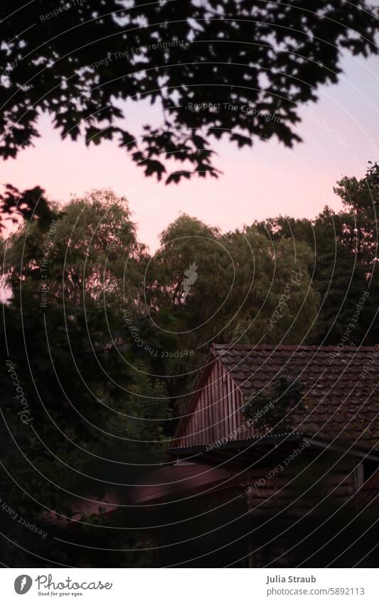 Sommerabend Garten Gartenarbeit Halle Ziegel Bäume Abendrot rosa rosa Himmel Sommerzeit Blätter