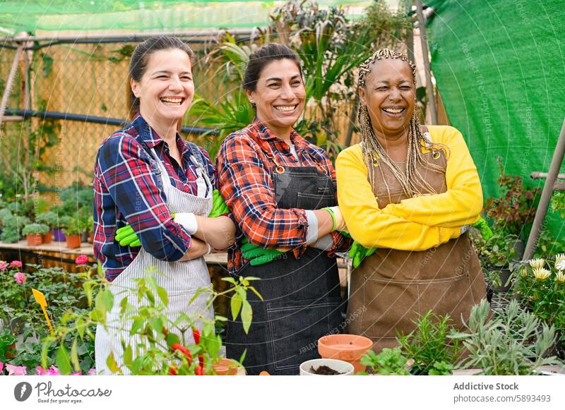 Positiv eingestellte, multirassische Landwirte stehen in der Nähe eines Tisches im Garten Frauen Gärtner kultivieren wachsen eingetopft sprießen Ackerbau