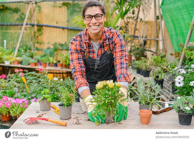 Fröhlicher Gärtner bei der Arbeit mit Pflanzen Frau Lächeln Glück Gewächshaus Blume Topf Gartenbau kultivieren Beruf Flora positiv Blütezeit vegetieren Botanik