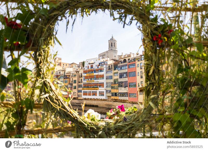 Blumenfest Girona 2024, Spanien antik Architektur künstlerisch Brücke Gebäude katalanisch Katalonien Kathedrale Kirche Großstadt Stadtlandschaft bunt Tag