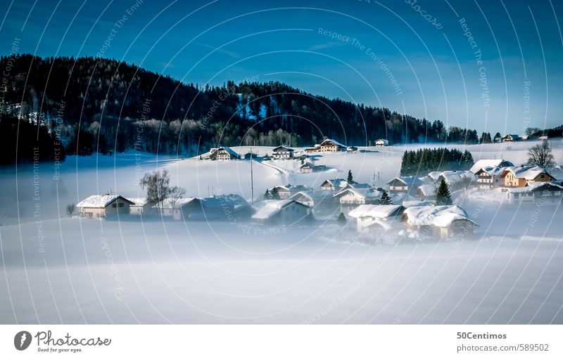 Winterlandschaft in Faistenau Ferien & Urlaub & Reisen Tourismus Ferne Freiheit Schnee Winterurlaub Berge u. Gebirge wandern Umwelt Natur Landschaft Hügel