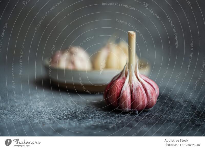 Frische Knoblauchzwiebeln auf strukturiertem Hintergrund Knolle Gewürznelke Bestandteil Essen zubereiten Küche Textur frisch natürlich Lebensmittel aromatisch