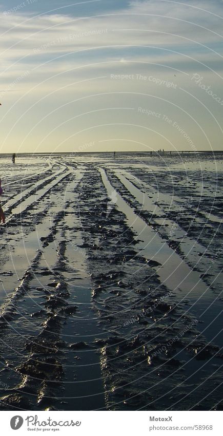 Wat'n Watt Meer Ebbe Strand Nordsee Wattenmeer Deutschland