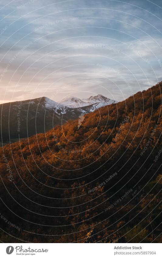 Goldener Sonnenuntergang über den schneebedeckten Curavacas Berge u. Gebirge Schnee curavacas palencia Herbst Wald goldene Stunde Gipfel Landschaft Natur