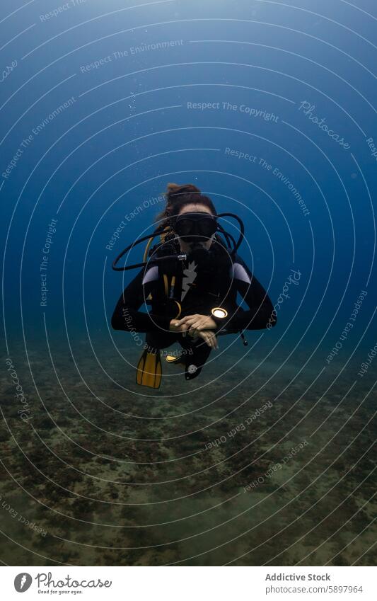 Weiblicher Taucher erforscht Unterwasser, schaut in die Kamera Frau unter Wasser Taucheranzug Tauchen Meer MEER Abenteuer Erkundung marin aquatisch blau