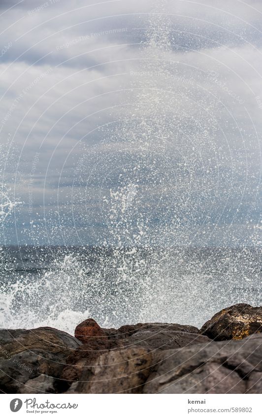 Brandung Umwelt Natur Landschaft Urelemente Wasser Wassertropfen Wolken Gewitterwolken Sommer schlechtes Wetter Sturm Felsen Küste Meer frisch hoch nass