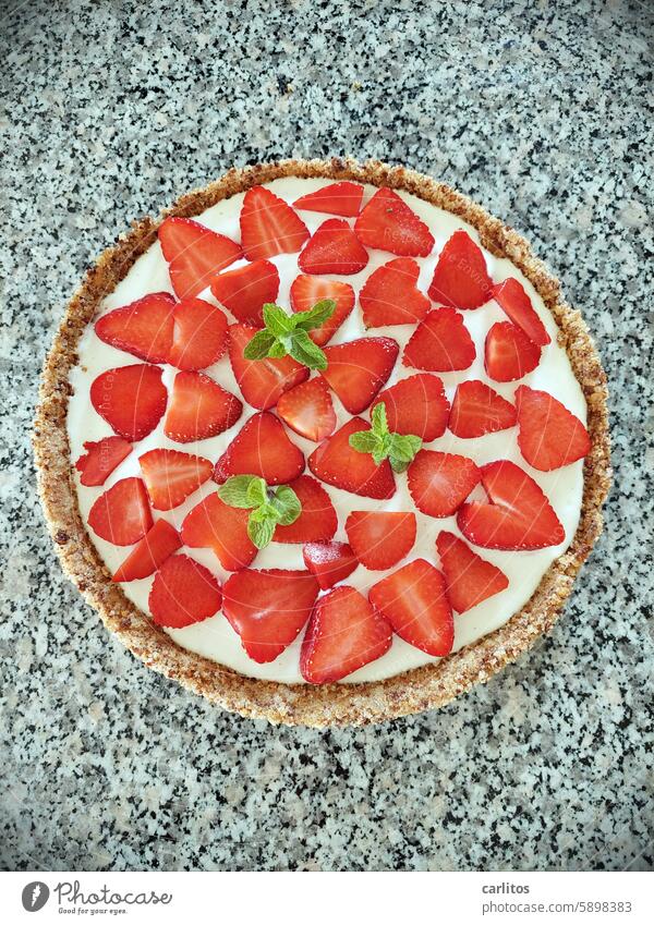 Butterweich |  sah super aus und landete als Matsch auf dem Teller Erdbeerkuchen Erdbeeren Torte Kalorien lecker Kuchen Dessert süß Frucht Ernährung Backwaren