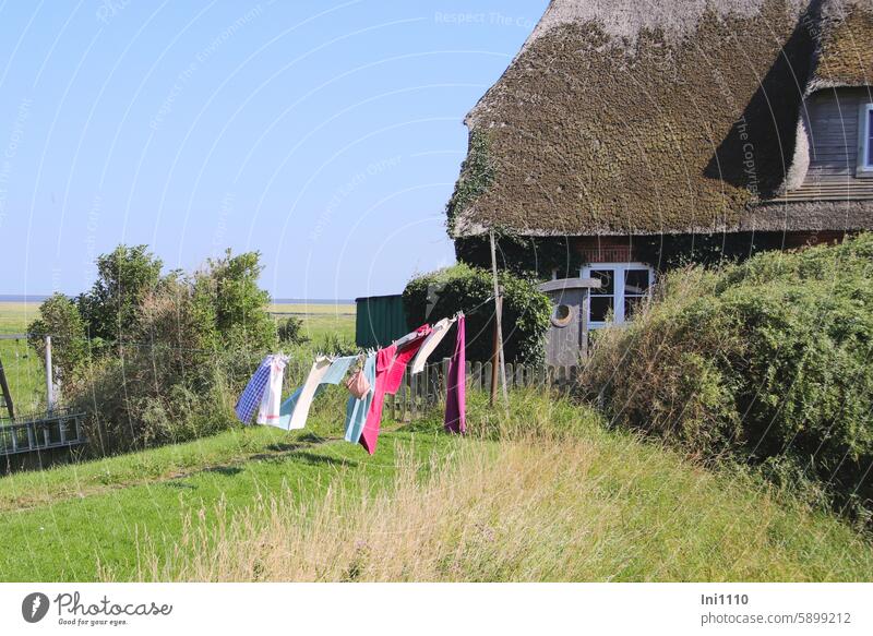 Hallig Gröde | Wäschetrocknen auf der Hallig Sommer Nordsee Wattenmeer Warft Natur Landschaft Wäscheleine Luft Sonnenlicht Wind Hausdach Reetdach blauer Himmel