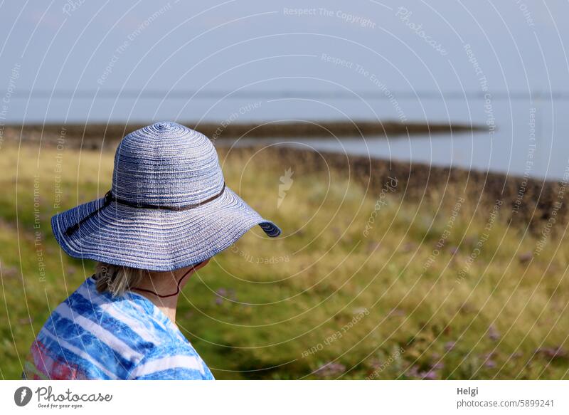 Hallig Gröde | Lady mit großem Sonnenhut schaut aufs Meer Mensch Frau Seniorin Salzwiesen Küste Nordsee Sommer Shirt wegsehen wegschauen Blick zum Meer Natur