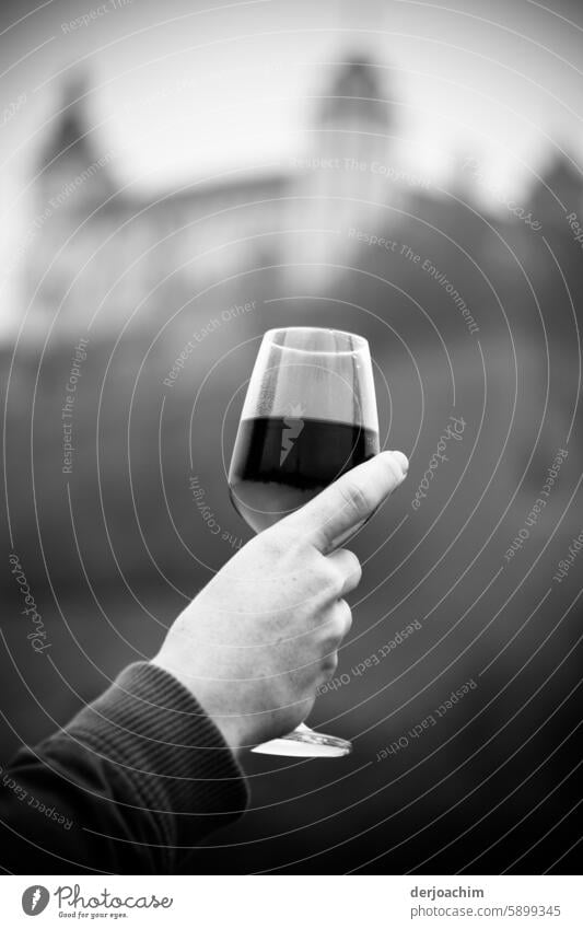 ganz schön abgefahren /  Ein Gläschen in Ehren kann niemand verwehren. Ein Glas Wein auf der Alten Brücke in Würzburg. Weinglas genießen Alkohol trinken Getränk