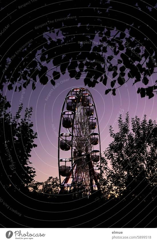 Riesenrad zwischen Bäumen in lila Abendstimmung Volksfest Höhenangst Vergnügen Aussicht Spaß haben Schausteller Schaustellergewerbe Familienspaß