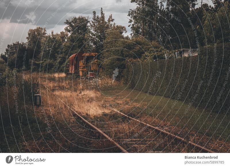 Alte Bahnschienen einer still gelegten Bahnstrecke mit rostiger Lok und Wagen am Seitenrand. Schienenverkehr Schienennetz Schienenfahrzeug verlassen Gleise