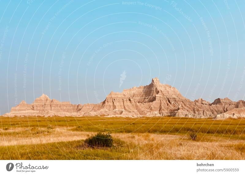 badlands Amerika South Dakota Berge u. Gebirge Wüste Trockenheit Hitze Himmel Landschaft Ferien & Urlaub & Reisen USA Natur surreal besonders Ferne Fernweh