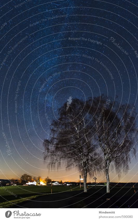 Vorweihnachtssternenhimmel Winterurlaub Himmel Wolkenloser Himmel Nachthimmel Stern Horizont Baum Birke Wiese Feld Dorf Straße Wege & Pfade glänzend leuchten