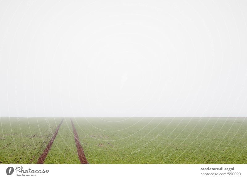 Stille Landschaft Erde Horizont Herbst Nebel Feld Linie einfach Ferne frei Unendlichkeit trist grün weiß Vorsicht geduldig ruhig bescheiden demütig Sehnsucht