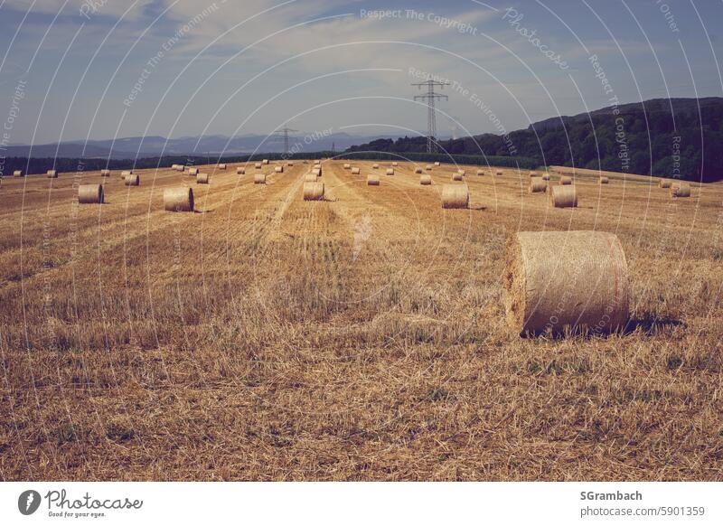 Kornfeld Strohfeld Ballen auf abgeerntetes Kornfeld Getreidefeld Strohballen Strohballenrollen Strohrundballen Ernte Rundballen Feld Landwirtschaft