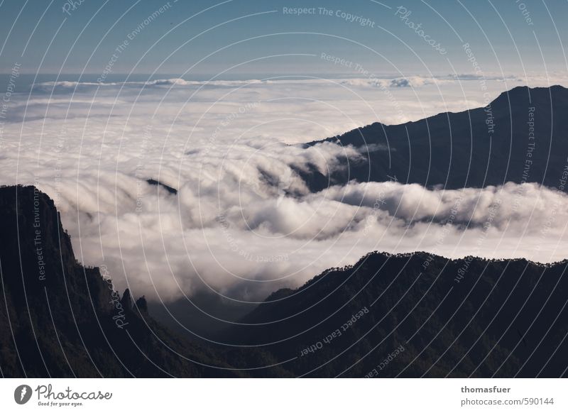 Wolkenbett Ferien & Urlaub & Reisen Ausflug Ferne Freiheit Expedition Sommer Insel Berge u. Gebirge wandern Erde Himmel Horizont Baum Gipfel Vulkan Schlucht