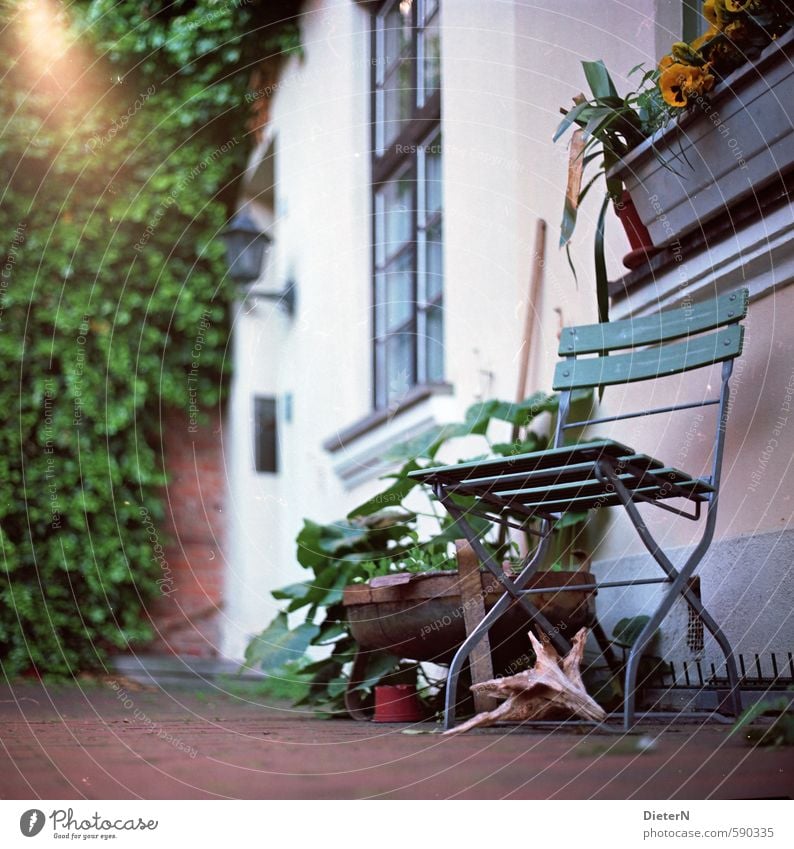 Im Grünen Sommer Blume Grünpflanze Stadt Altstadt Menschenleer Haus Mauer Wand Fassade Garten alt Stuhl Wurzel Blumentopf Blumenkasten Autofenster analog