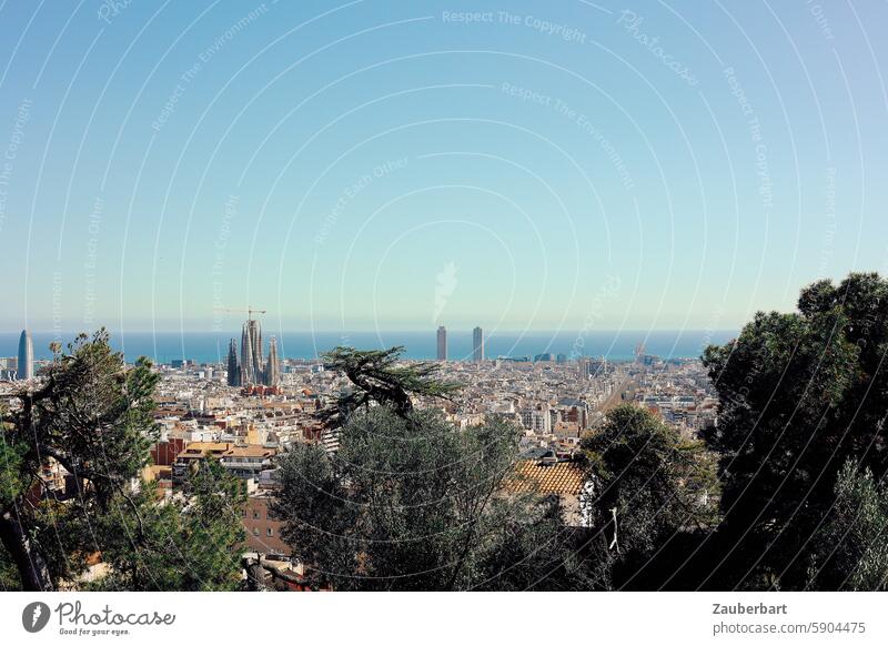 Panorama von Barcelona mit Büschen im Vordergrund und Sagrada Familia Sehenswürdigkeit Bauwerk Stadt Tourismus Overtourism Sightseeing Wahrzeichen Städtereise