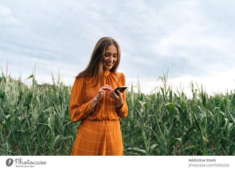 Frau im orangefarbenen Kleid benutzt Smartphone im Maisfeld Feld brünett orangefarbenes Kleid Lächeln Kornfeld herabsehend Technik & Technologie Ackerbau