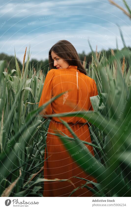 Frau in orangefarbenem Kleid schaut in einem Kornfeld weg Feld brünett orangefarbenes Kleid Wegsehen im Freien Natur ruhig Gelassenheit Ackerbau grün hoch