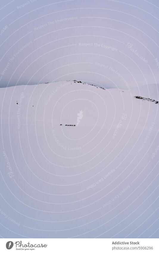 Weite, schneebedeckte Landschaft mit weit entfernten Menschen und Pferden in Kirgisistan Schnee Winter Hügelseite Gelassenheit riesig gedämpft Pferderücken