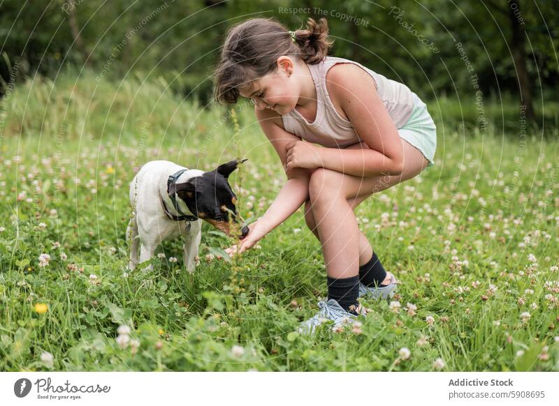 Kleines Mädchen füttert einen Hund in einem üppigen grünen Feld füttern Biegen Sommer Klee spielerisch Tier Haustier Kind im Freien Natur Park Interaktion