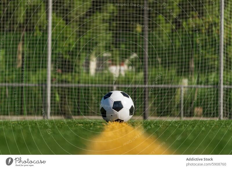 Fußball bereit auf grünem Feld mit Tor Hintergrund Ball Netz Park Sport spielen Spiel Gras im Freien Sommer Freizeit Aktivität Konkurrenz Spaß Team Teamwork