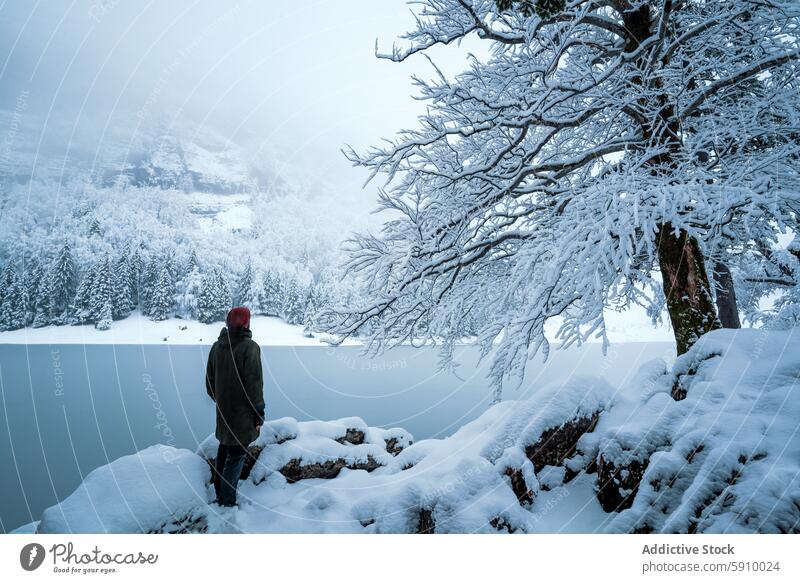 Person, die eine ruhige Schneelandschaft in der Schweiz bewundert Winter Landschaft Baum See gefroren Gelassenheit Wald weiß kalt Natur im Freien friedlich