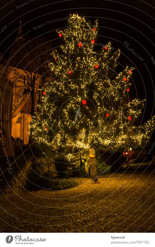 Weihnachtsbaum Natur Winter Baum Kleinstadt Stadtzentrum Altstadt Kirche Weihnachten & Advent Feste & Feiern träumen warten gelb gold grün orange rot schwarz