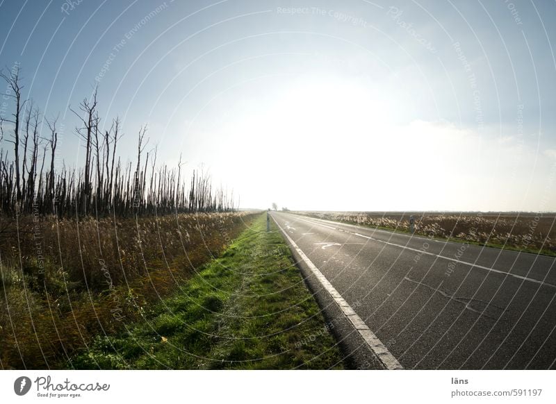 Lichtung Straße Himmel Horizont Grenzgebiet grün Schilder & Markierungen Beginn Ende Baum