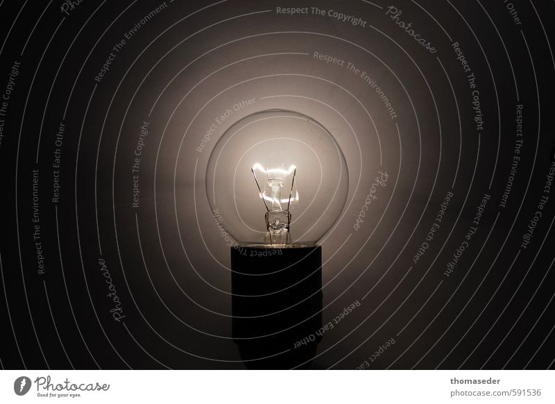 glühbirne in der nacht Design sparen Lampe Wissenschaften Technik & Technologie Show Wärme entdecken hell weiß Macht Idee Inspiration Kreativität Glühbirne