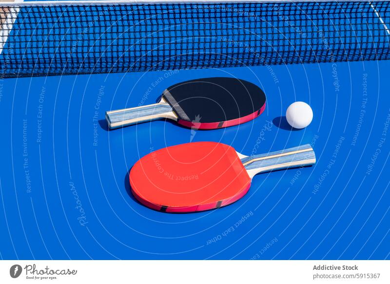 Zwei bunte Tischtennisschläger und Ball auf blauem Hintergrund Remmidemmi Netz rot schwarz Sport Paddel Spiel Gerät Konkurrenz Freizeit spielen Hobby