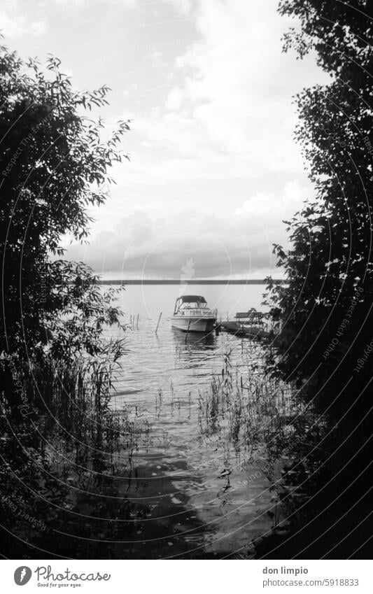 Boot am Fleesensee Sommer Ferien & Urlaub & Reisen Wasser Wasserfahrzeug Außenaufnahme Tag Schwarzweißfoto