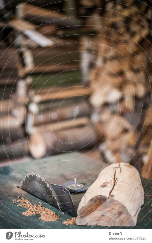 Sägewerk Fabrik braun silber Holz Sägeblatt Holzstapel Holzstruktur Farbfoto Außenaufnahme Textfreiraum oben Textfreiraum Mitte Freisteller Tag