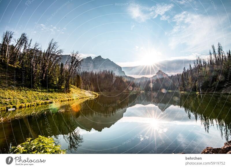 weltspiegel stille Wyoming USA Amerika Wasser Wolken See Bäume Berge u. Gebirge Landschaft Wald fantastisch Ferien & Urlaub & Reisen Natur besonders Fernweh