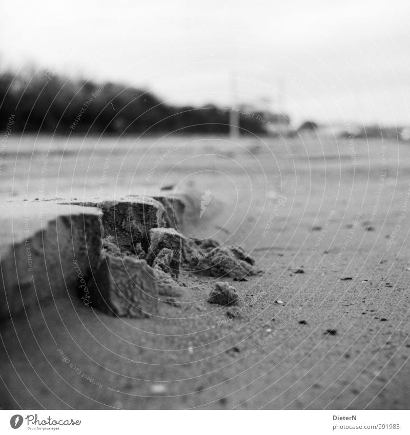 Abbruch Landschaft Sand Himmel Wolkenloser Himmel Winter Küste Strand Ostsee grau schwarz weiß analog Mittelformat Schwarzweißfoto Außenaufnahme Menschenleer