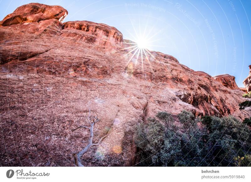 utah Sonnenstern Himmel beeindruckend Felsen Arches National Park Utah Ferne Ferien & Urlaub & Reisen Amerika USA außergewöhnlich Fernweh Abenteuer Landschaft