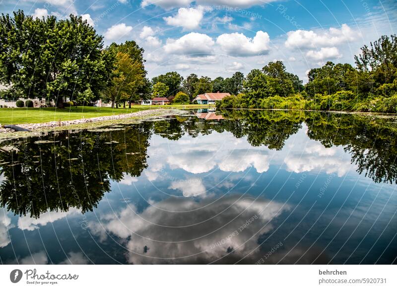 idylle Reflexion & Spiegelung weite Ferne Fernweh besonders Ferien & Urlaub & Reisen fantastisch Natur Landschaft See Bäume Wolken USA Amerika Warsaw Idylle