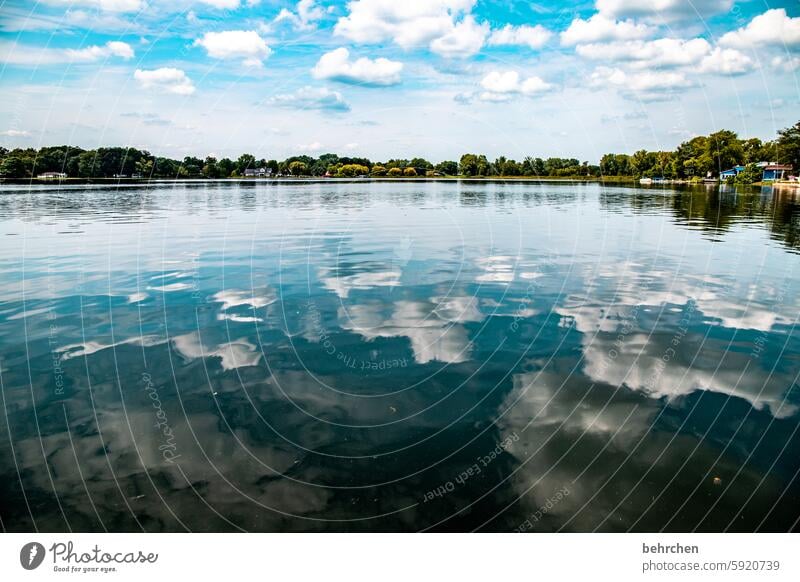 wolkenspiegel Erholung Ruhe Idylle Warsaw Amerika USA Wolken Bäume See Landschaft Natur fantastisch Ferien & Urlaub & Reisen besonders Fernweh Ferne weite